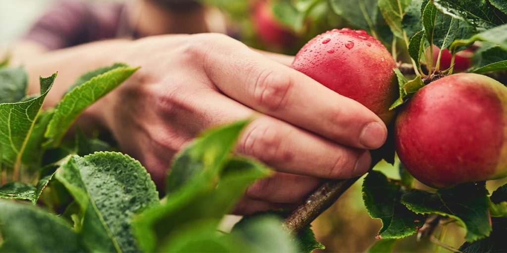 Como ter mais vendas no agronegócio | Limber